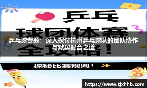 乒乓球专题：深入探讨杭州乒乓球队的团队协作与默契配合之道