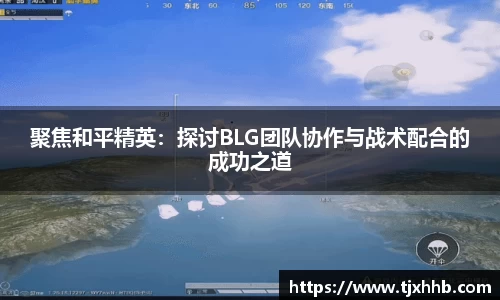 聚焦和平精英：探讨BLG团队协作与战术配合的成功之道