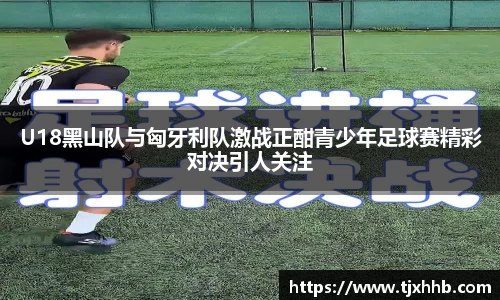 U18黑山队与匈牙利队激战正酣青少年足球赛精彩对决引人关注